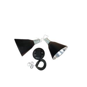 Progress Lighting 2-Light Flood Lights Black Wall Light Aluminum